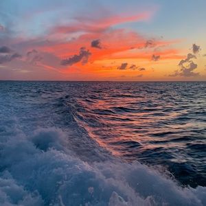 Meet your Posher, Lily